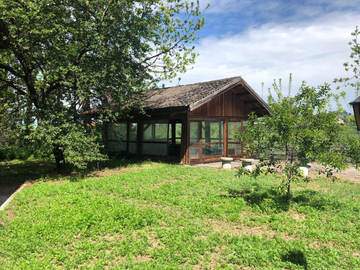 Villa Bonelli Bed & Fest Savigliano Exteriör bild