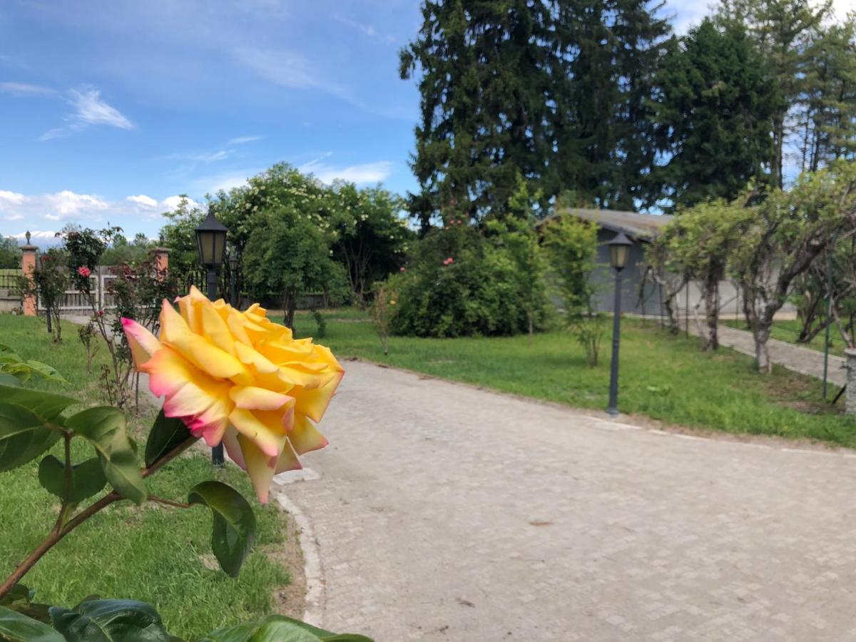 Villa Bonelli Bed & Fest Savigliano Exteriör bild